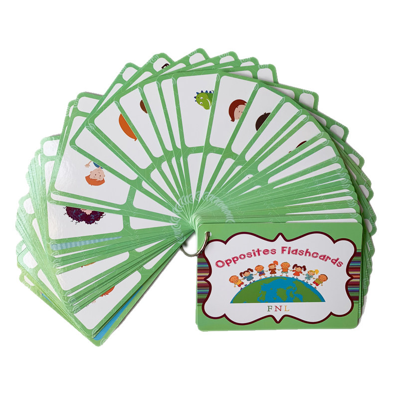 The 100 Groups Opposites Flash - đánh giá và giá Kids Educational Game