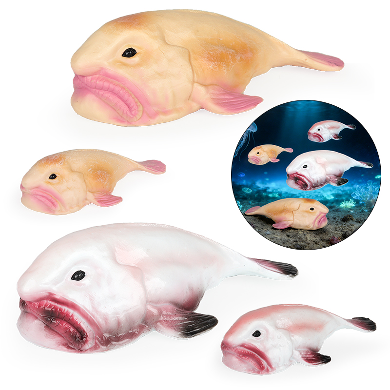 Oenux Australia Deep-Sea Fish  - đánh giá và giá Kids Education In Australia