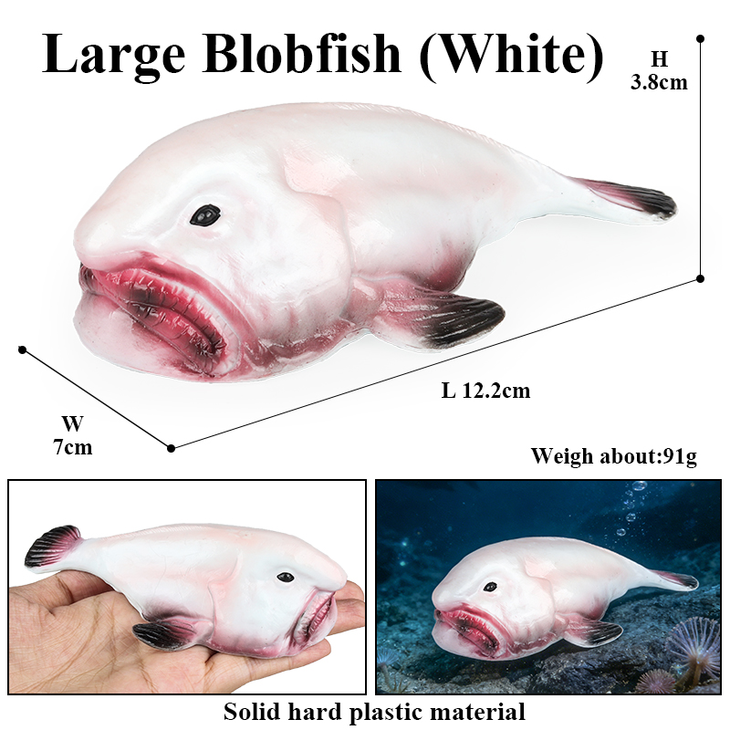 Oenux Australia Deep-Sea Fish  - đánh giá và giá Kids Education In Australia