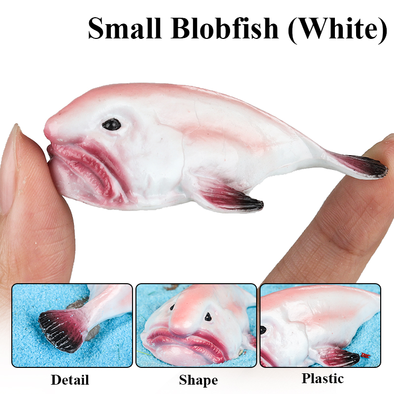 Oenux Australia Deep-Sea Fish  - đánh giá và giá Kids Education In Australia