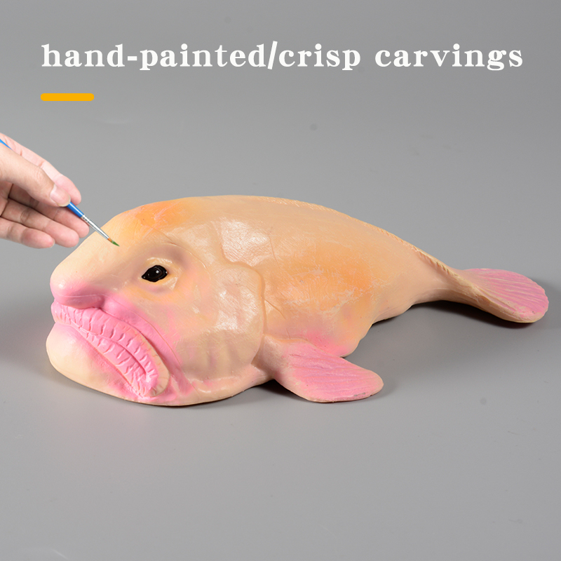 Australia Deep-Sea Blobfish Ps - đánh giá và giá Kids Education In Australia
