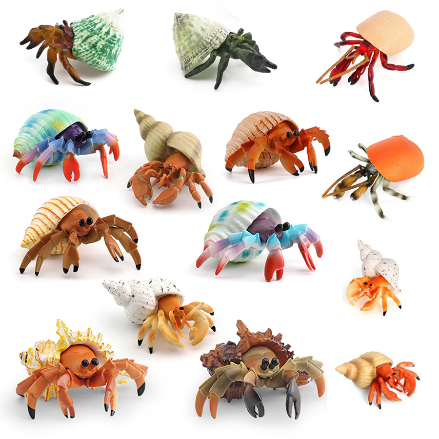 Realistic Hermit Crab Figurine - đánh giá và giá Kids Educational Game