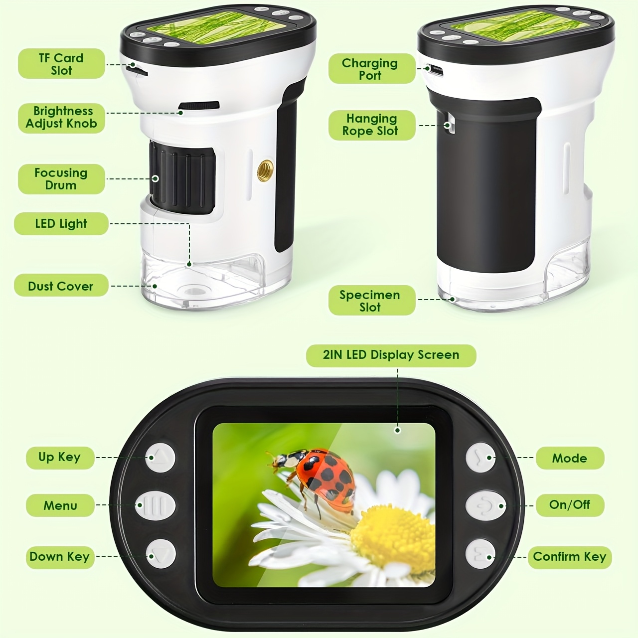 Kids Microscope Biological Kit - đánh giá và giá Kids Educational Videos