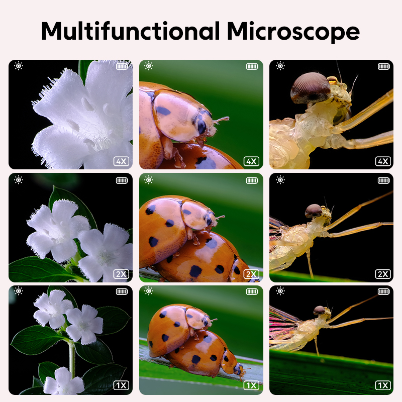 Mini Kids Optical Microscope W - đánh giá và giá Kids Educational Videos