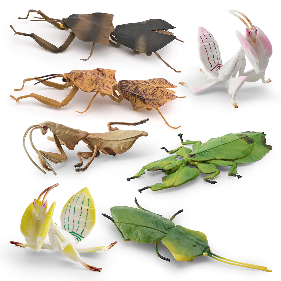 Realistic Orchid Mantis Dead L - đánh giá và giá Kids Educational Game